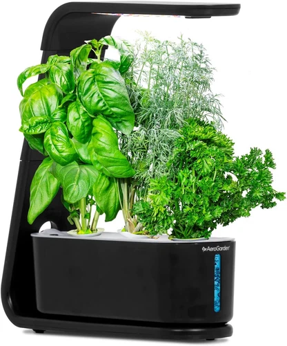 AeroGarden Sprout
