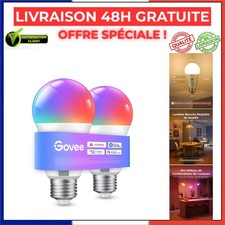 Ampoules connectées Govee E27 RGBWW 800 lm Wi-Fi Alexa lot de 2