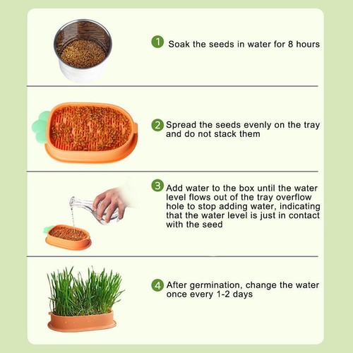 Cat Grass Planting Box Plant Growing Kit Hydroponic Soil-Free Cat Grass - Picture 10 of 11