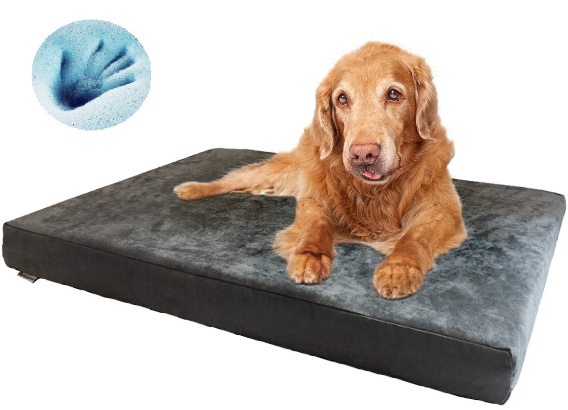48 x best sale 30 dog bed
