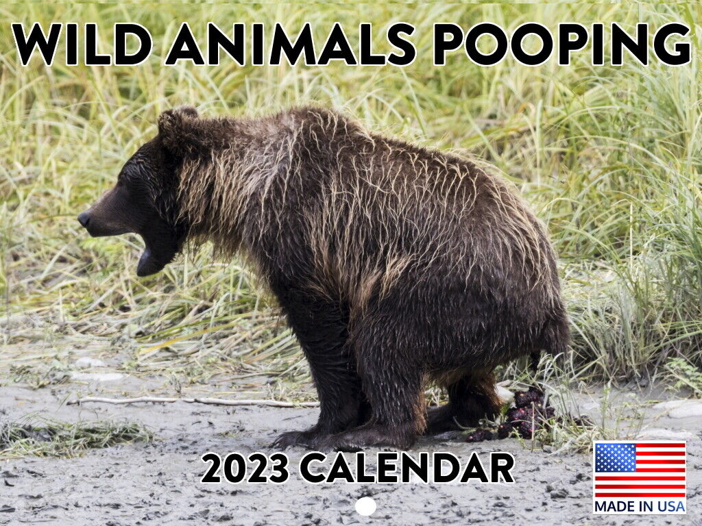 dogs-pooping-in-beautiful-places-2023-calendar-great-gag-gift-holiday