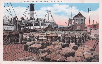 Postcard Vintage(1 )LA,New Orleans levee Scene/Cotton Season 11542/108 UP (#939)