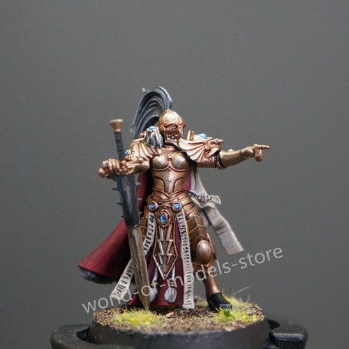 Adeptus Custodes: Sisters Of Silence Warhammer 40K pro painted Army Miniature GW - Picture 7 of 8