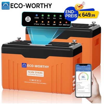 2 Pack 12V 314Ah Bluetooth LiFePO4 Lithium Batterie Statusanzeige für Wohnmobile