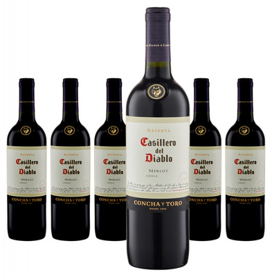 6 x Casillero Del Diablo Merlot   2023