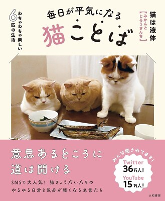 Cat language that makes every day more ordinary. Japan Book NEW F/S
