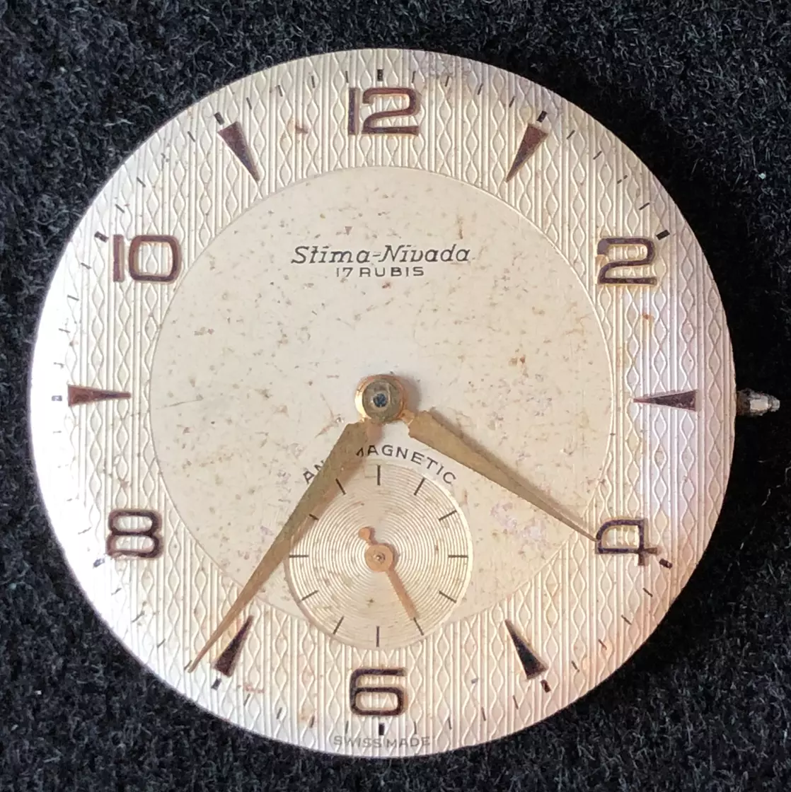 Stima watch best sale