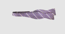 $50 Ryan Seacrest Distinction Mens Purple Striped Silk Self Tie Bow Tie