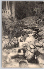 SHERIDAN, MONTANA POSTCARD Scene in Ramshorn Gulch, Black & white