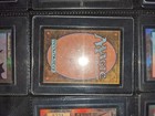 Picture 4 of 4