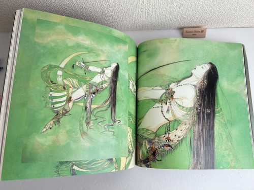 Libro de arte ilustración primera edición de Yoshitaka Amano Guin Saga (Final Fantasy) - Imagen 17 de 20