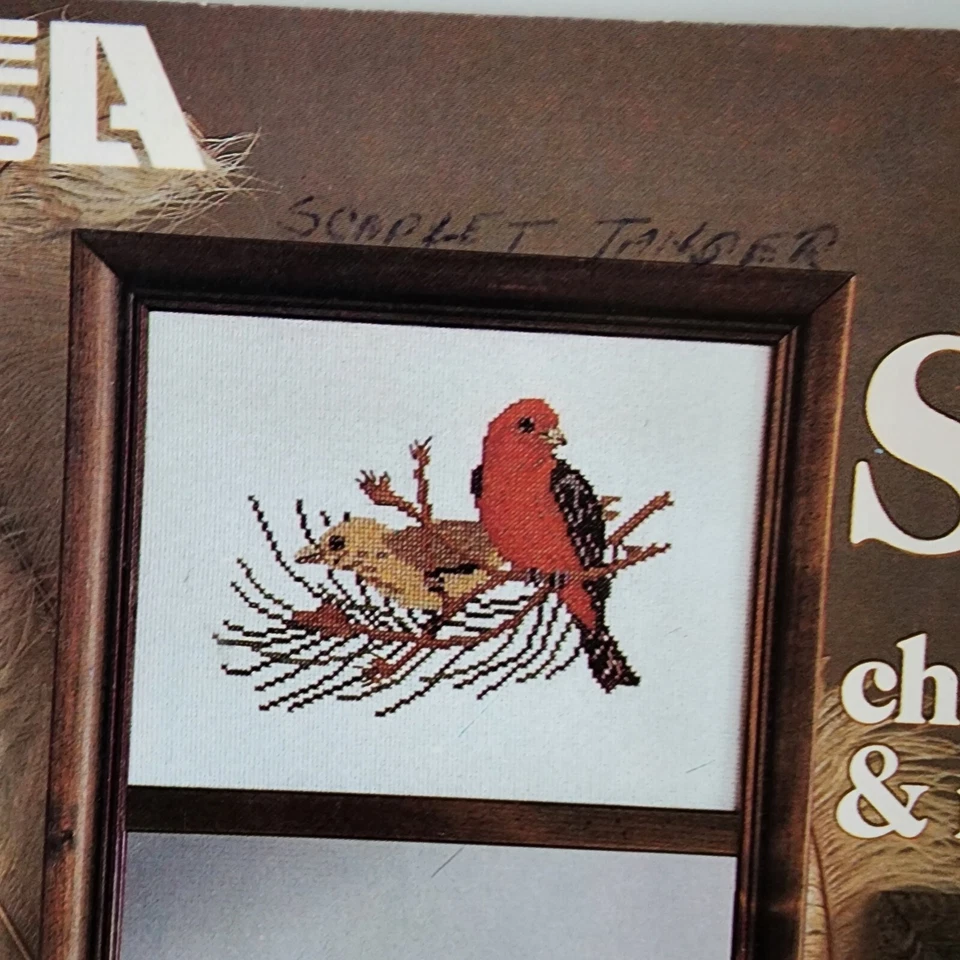 Vintage Songbirds Counted Cross Stitch Patterns Charts Birds Robin Cardinal #171 - Image 3 of 4