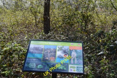 Foto 6x4 Heusenstamm Freundschaft Holz Garten Park um 2015