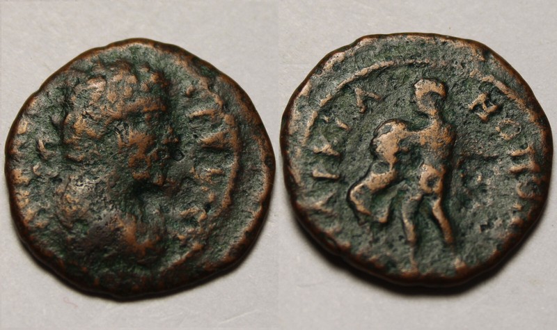 Ancient Roman coin Septimius Severus/Markianopolis/Moesia/Hercules, Nemean lion