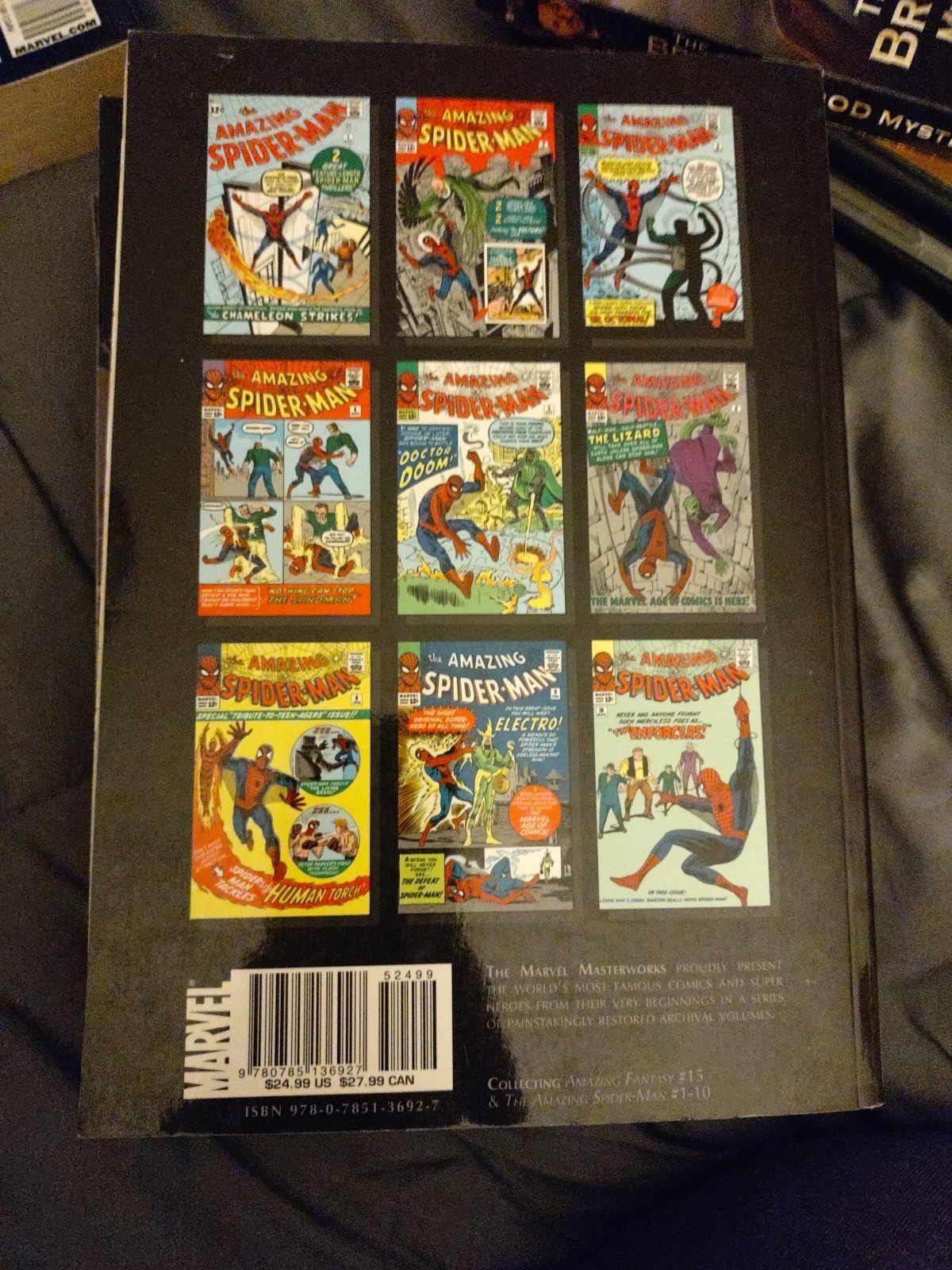 Marvel Masterworks: The Amazing Spider-Man Vo1. 1 - 2nd printing 2011