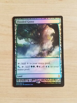 Flooded Grove Zendikar Expeditions NM/LP FOIL Mtg