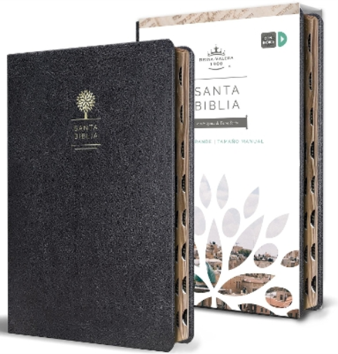 Reina Valera Re Biblia Reina Valera 1960 letra grande. Símil piel ne (Tascabile)