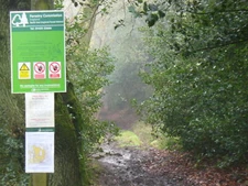 Photo 6x4 Bridleway Into Redlands Wood Coldharbour Holly trees line the c c2011