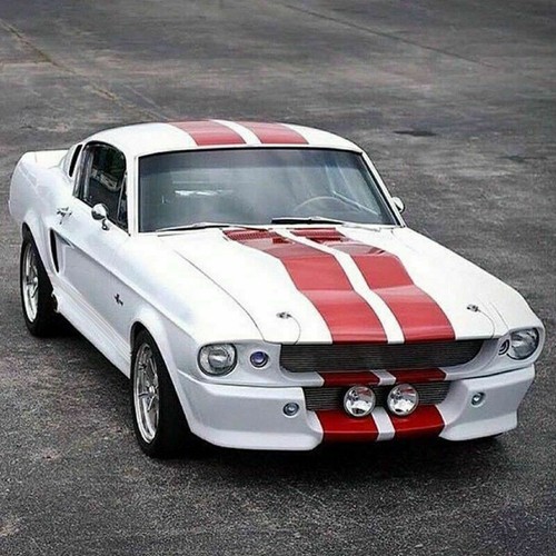Decal Graphic Stripe Kit For Classic Ford Mustang 67-73 Fastback Hardtop Shelby - Picture 10 of 23