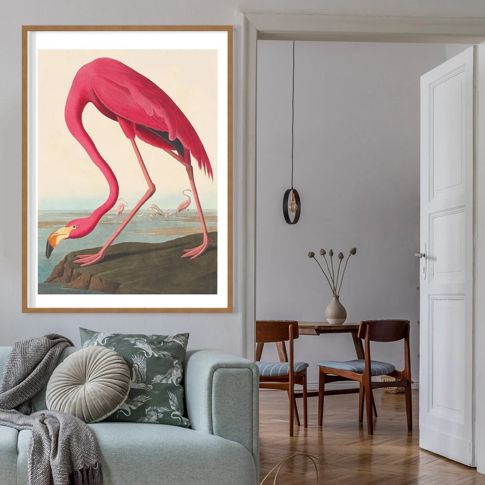 Póster de flamenco rosa | Impresión de arte de pared vintage de pájaro John Audubon Foto 4 de 4