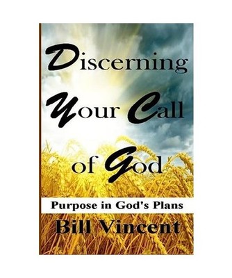 Discerning Your Call of God: Purpose In God's Plan [Large Print Edition]: Purpos