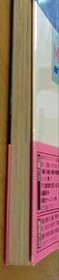 Mother Winning Strategy Complete Edition Famicom Strategy Guide