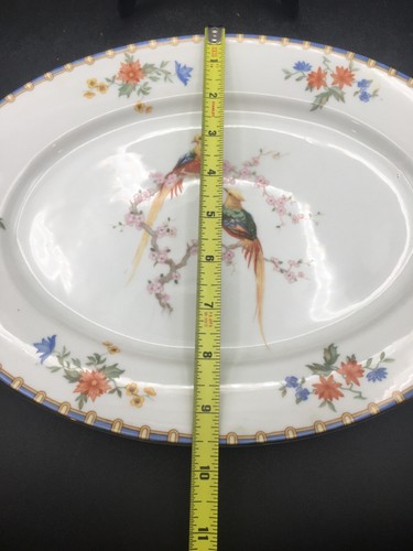 MZ Altrohlau Czechoslovakia Golden Pheasant Porcelain Platter 13” - Picture 4 of 7