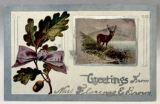 Greetings, Oak Leaves, Acorn, Elk, Vintage Postcard