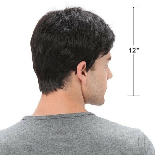 Handsome Men Wig Short Layered Straight Cosplay Costume Black Hair Toupee Wig - Picture 3 of 6
