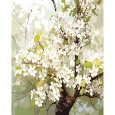 Paint By Numbers Adults kids Branch White Flower DIY Painting Kit 40x50CM Canvas