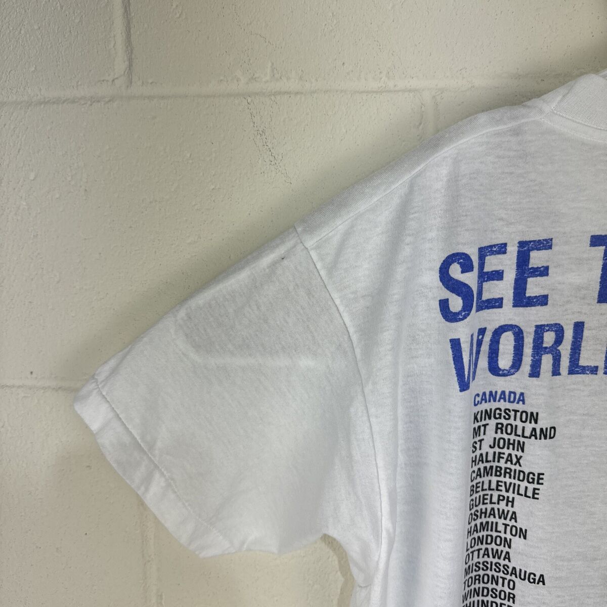 VINTAGE JEFF HEALEY BAND SEE THE LIGHT World TOUR 89 T SHIRT VINTAGE JEFF HEALEY BAND SEE THE LIGHT World TOUR 89 T SHIRT