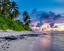 USA - DIY Paint by Number Kit Acrylic Oil Painting Home Decor - Island Escape