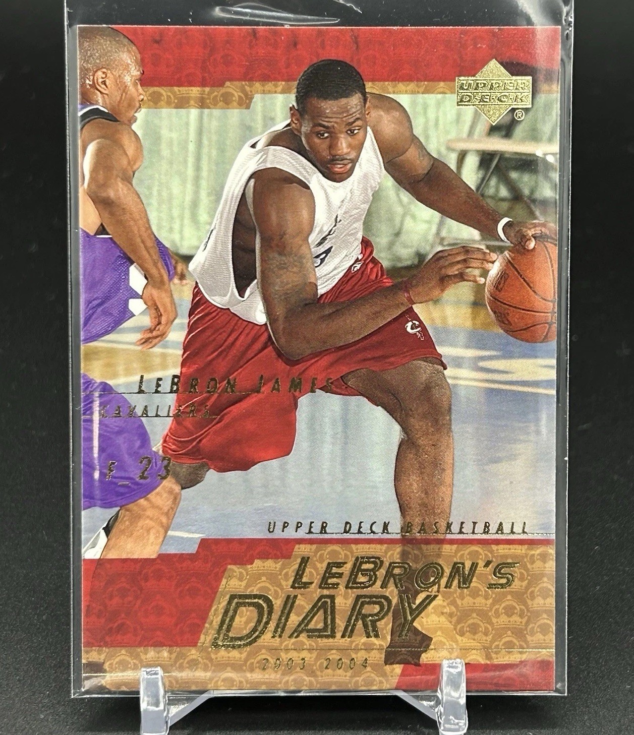 LeBron James 2003-04 Upper Deck LeBron’s Diary ROOKIE RC Card #LJ6