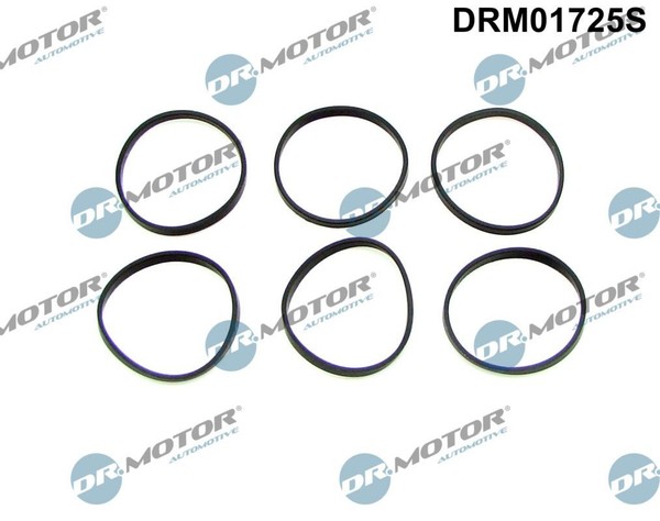 Dr.Motor Automotive Dichtungssatz, AnsaugkrüMmer DRM01725S FüR Bmw-image