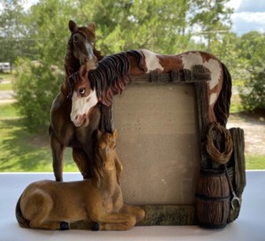 Equestrian Horse Coral 3D Resin Western Picture Frame Horses Fits 4x6" Nice
