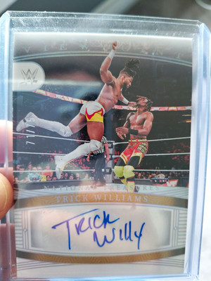2024 Panini National Treasures WWE ViewPoint Signatures Trick Williams Auto /75
