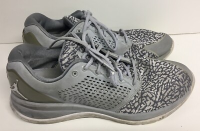 Nike Air Jordan Trainer ST Training Wolf Grey Platinum Cement
