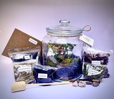DIY Terrarium Full Kit With Plants/ Premium Substrate/Step-by-Step Instructions