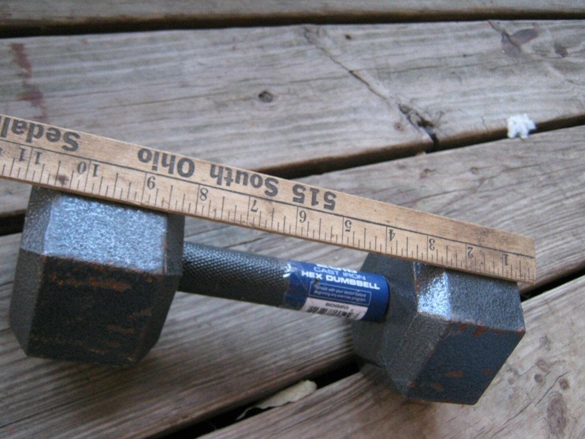 Fitness Gear 20 LB Cast Iron Hex Dumbbell Set of Total 40 Lbs