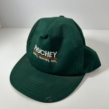 Don R Fruchey Inc Hat Cap Snap Back Green Par...