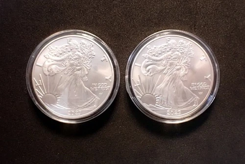 2x .999 Fine Silver Round 1 oz 2023 Walking Liberty Eagle Coin ( 2 Ounces Total)