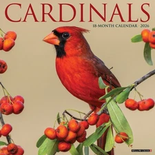 Cardinals 2026 12" x 12" Wall Calendar (free shipping)