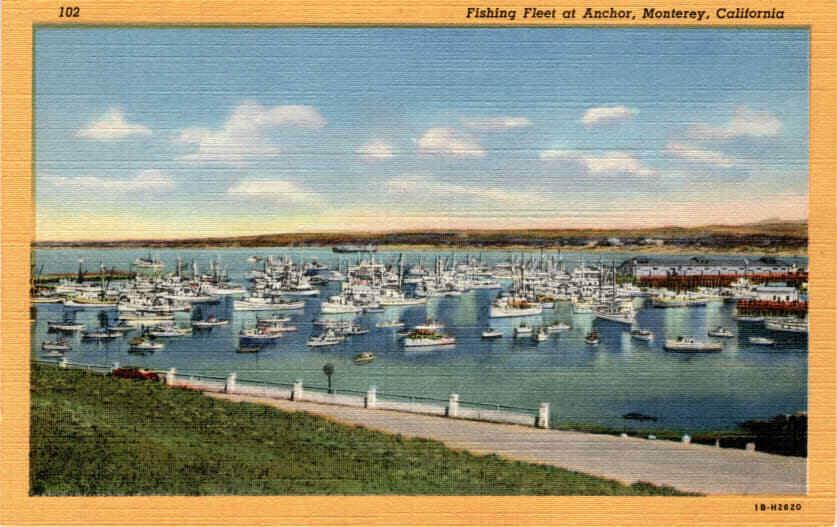 Monterey, California, Fishing Fleet, Fishermen's Wharf, Sardine Port Postcard