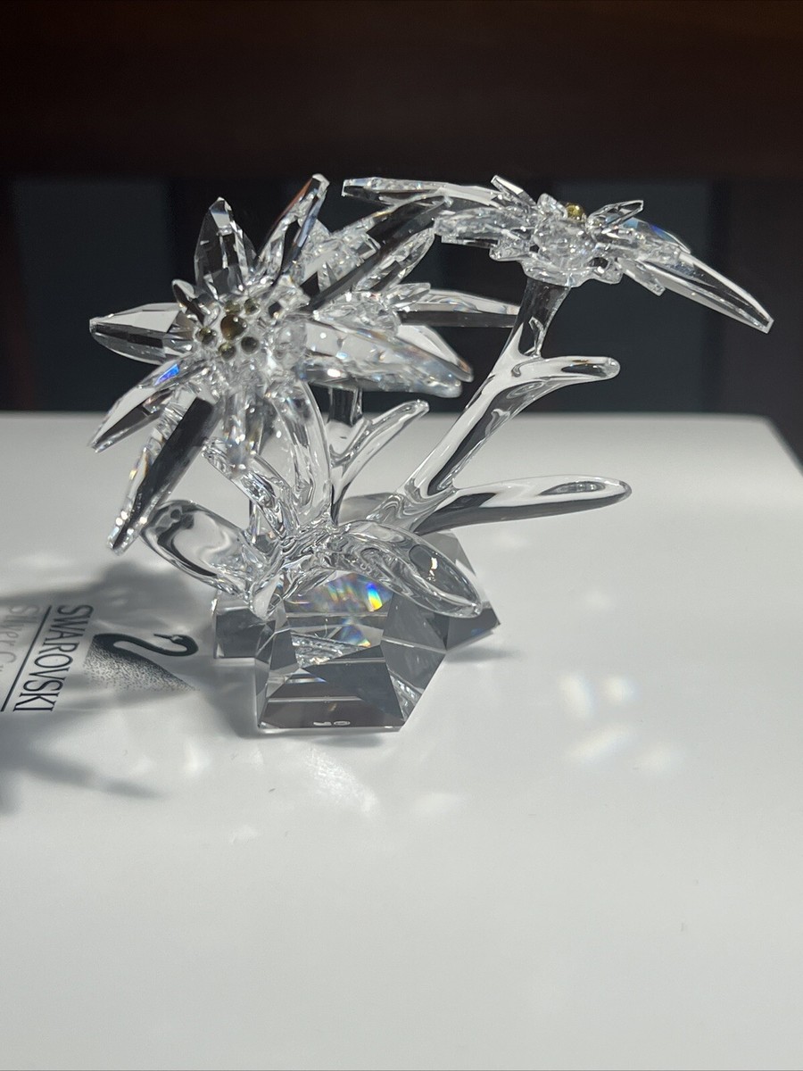 Swarovski 2020 Edelweiss Flower 5493708 New in original