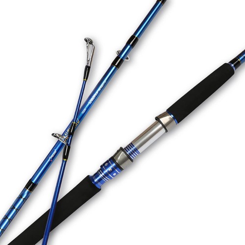 2-Piece Saltwater Spinning Fishing Rod Offshore Graphite Portable Fishing Rod...