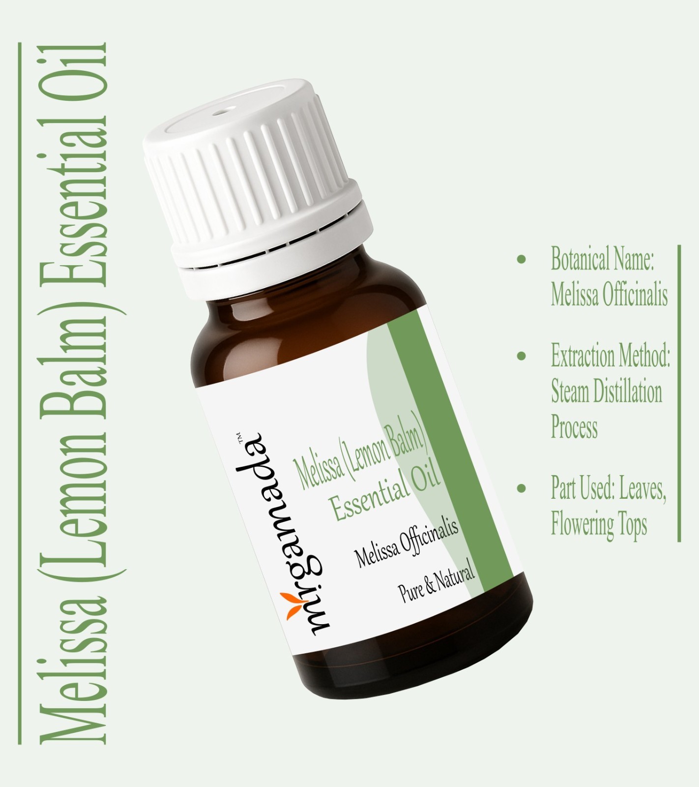 Melissa (Lemon Balm) Essential Oil Pure Natural Melissa officinalis by MRGAMADA