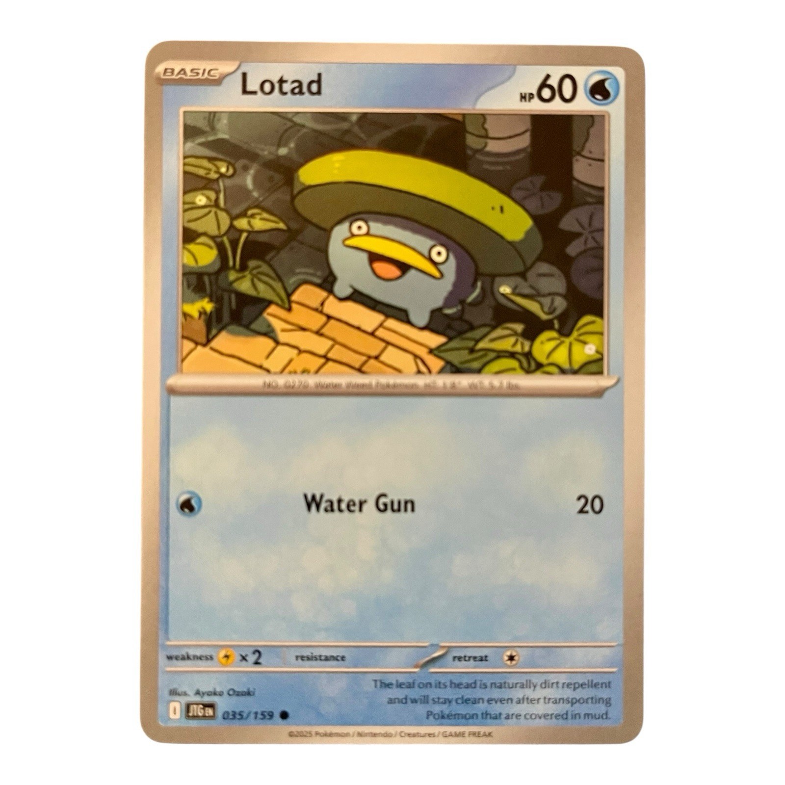 Lotad 035/159 Sv09: Journey Together Regular NM
