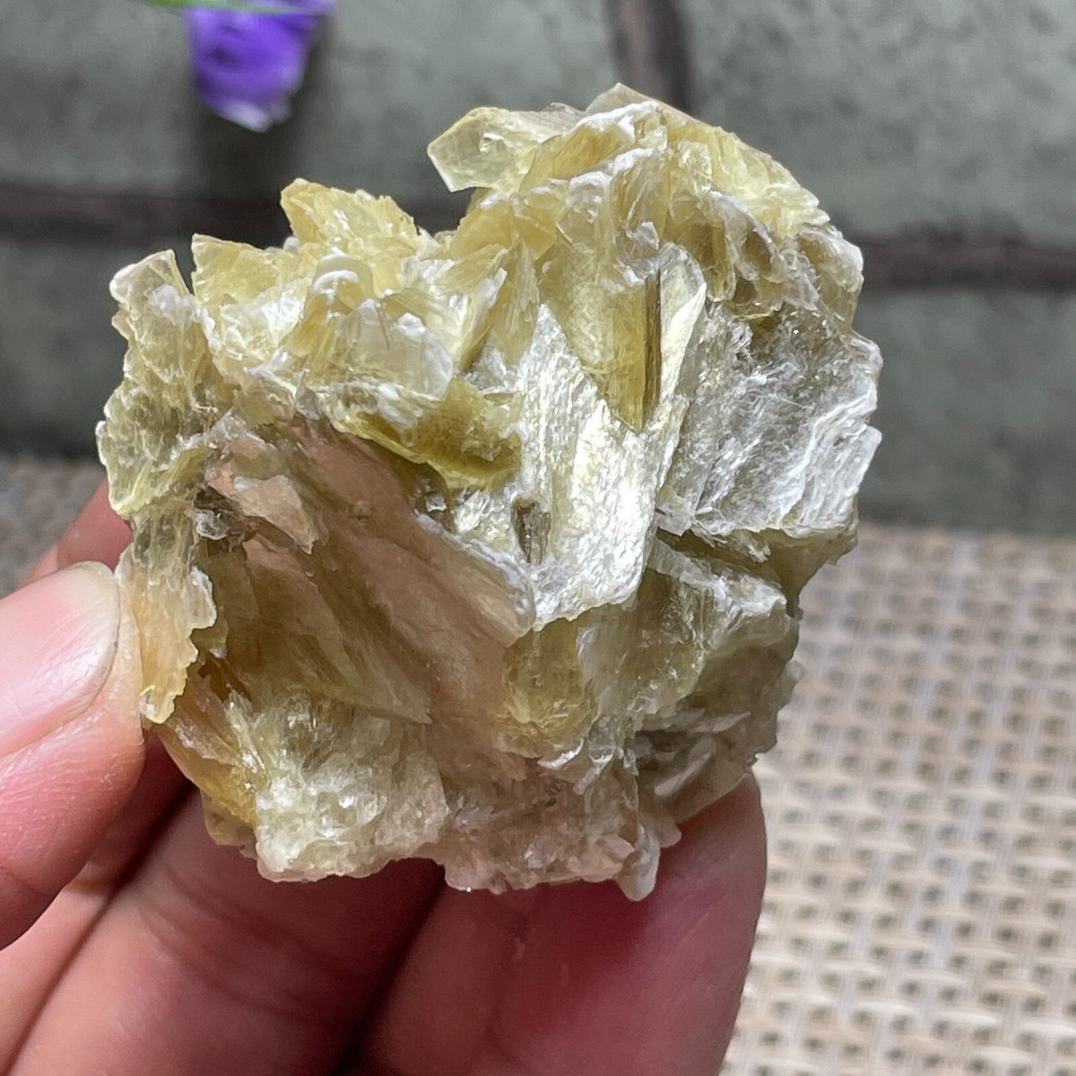 ゴールデンマイカ Yellow Mica Mica Natural Cluster Mineral Healing Rock Specimen