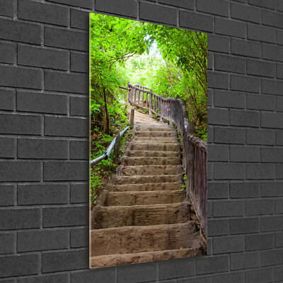 Wand-Bild Kunstdruck aus Hart-Glas Hochformat 50x100 Treppen im Wald