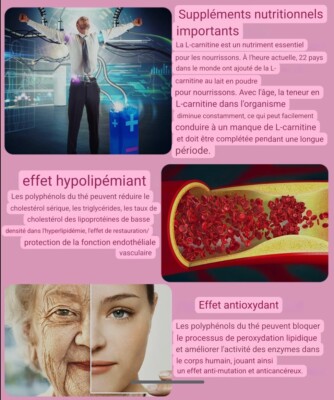 Pilules Amincissantes Brûle-graisses – Détox Puissant – 60 Gélules – Go Aloe Vera